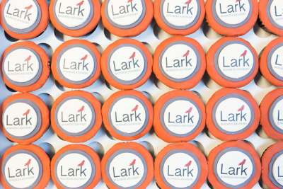 Lark Business Advisory - Cupcakes