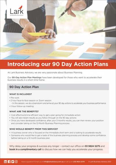 Lark Business Advisory - 90 Day Action Plan Brochure